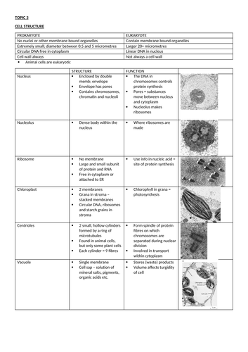 EDEXCEL SNAB TOPIC 3 REVISION NOTES