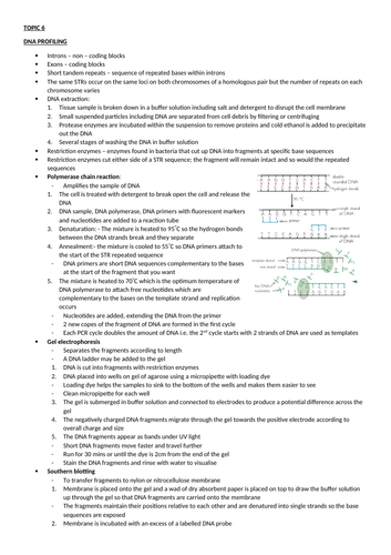 EDEXCEL SNAB TOPIC 6 REVISION NOTES