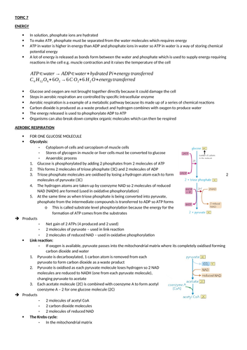 EDEXCEL SNAB TOPIC 7 REVISION NOTES