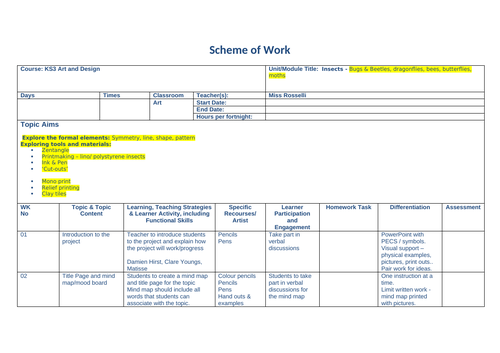 KS3 Art & Design Scheme of Work - Insects