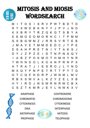 Biology word search Puzzle: Mitosis and meiosis (Includes answer key)