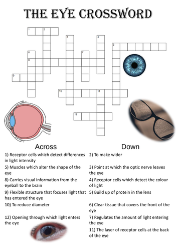 Biology Crossword Puzzle: The eye