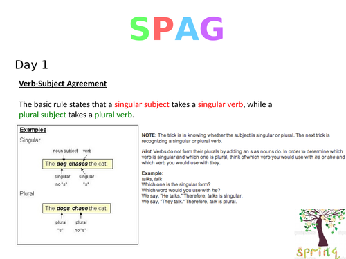 SPAG Powerpoint for starters/short teaching sessions (5)