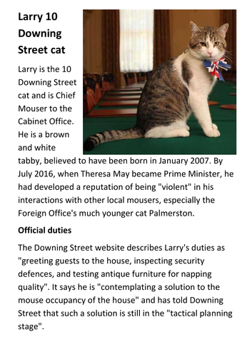 Larry 10 Downing Street cat Handout