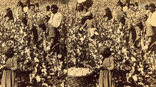 Why had slavery become the cornerstone of the southern economy?
