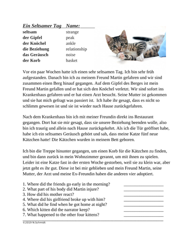 haben-vs-sein-worksheet-reading-for-german-past-tense-review