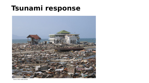 Tsunami response