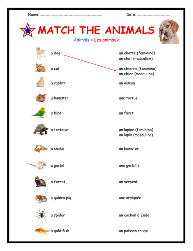 french-worksheets-numbers-colours-and-animals-teaching-resources