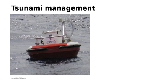 Tsunami management with Indian ocean tsunami as a case study