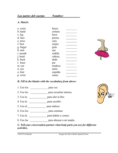 las partes del cuerpo body parts spanish worksheet