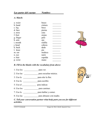Las Partes Del Cuerpo Body Parts Spanish Worksheet Teaching Resources