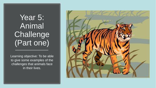 Design a game -animals