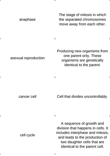 Mitosis key word definition card sort Edexcel CB2a