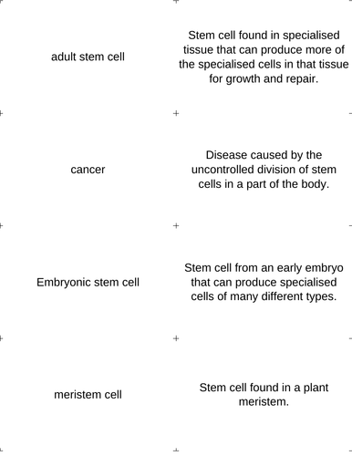 Key word card sort for Edexcel 9-1 combined science: Stem Cells