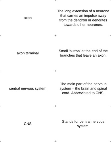 Keyword definition match card sort: Nervous System + Neurotransmission  Edexcel unit 2 (CB2)