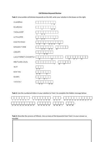 Mitosis Review Worksheet - Unscramble keywords, reveal hidden message, label stages, Edexel CB2