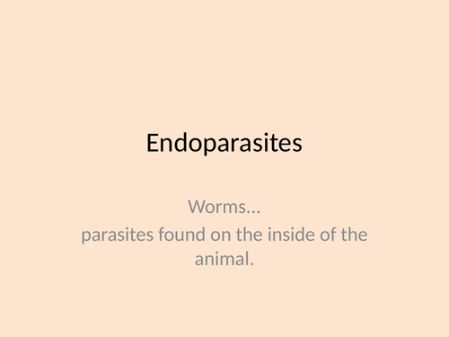 Endoparasites tapeworms and roundworms