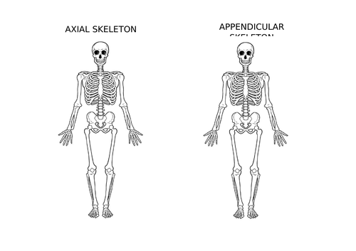 NCFE Level 1/2 Technical Award in Health and Fitness REVISION