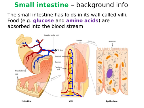 B1.10 exchanging materials