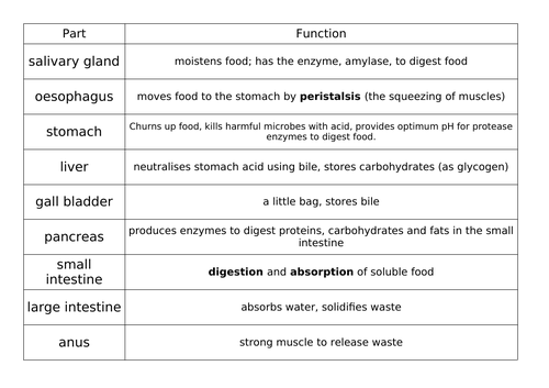 Digestive system card sort