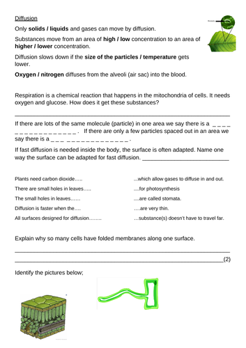 Diffusion worksheet