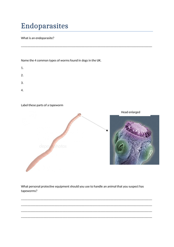 Endoparasites - tapeworm and roundworm - Unit One