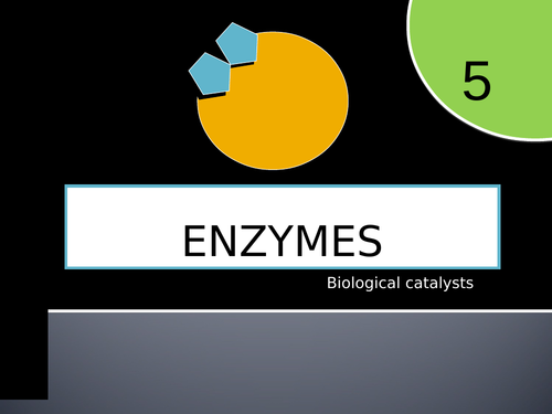 IGCSE enzymes