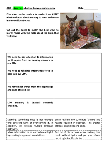 Memory Processes & Revision