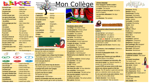 Main vocabulary about school condensed on 2 slides in French-  Vocabulary mat KS4
