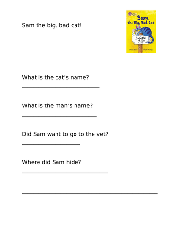 Big Cat Yellow Comprehension Activities