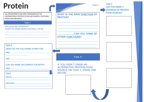 Protein Revision Worksheet