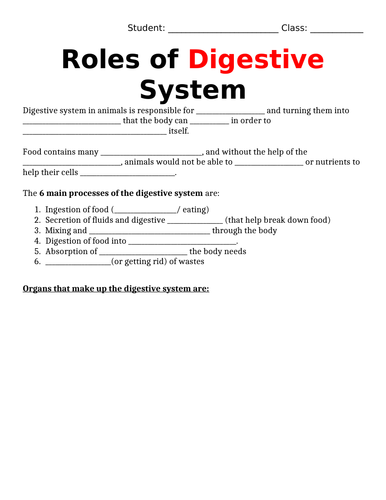 Role of the Digestive System