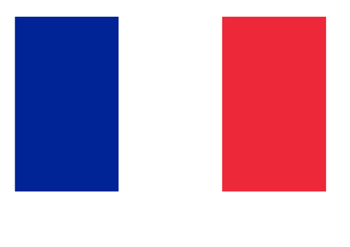 France/Francophone World Bunting | Teaching Resources