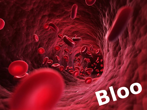 Function of blood