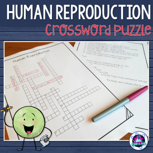 Human Reproduction Crossword Puzzle