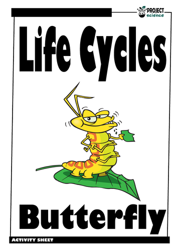 Butterfly Life Cycle