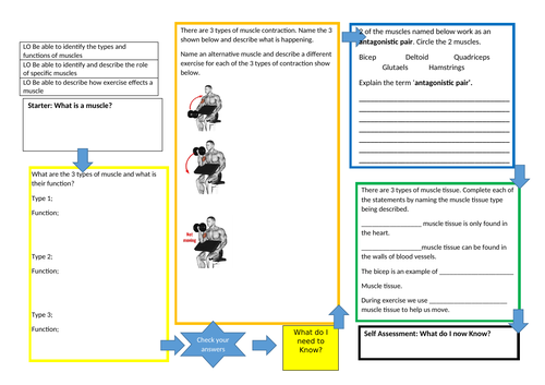 BTEC Tech Award, Sport, Activity and Fitness **Revision Placemat**