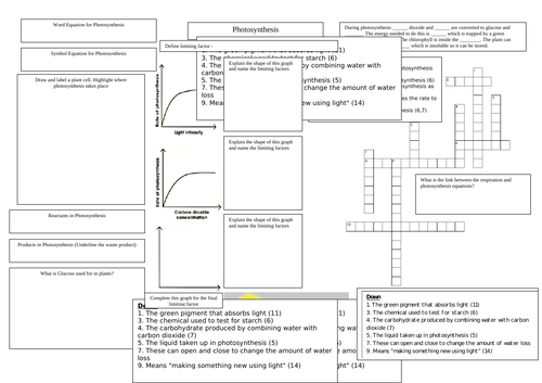Differentiated Photosynthesis Revision Crib Sheet GCSE Biology