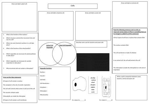 Differentiated Cells Revision Crib Sheet GCSE