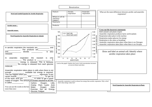 Differentiated Respiration Revision Crib Sheet GCSE