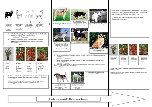 Differentiated Selective Breeding Activity