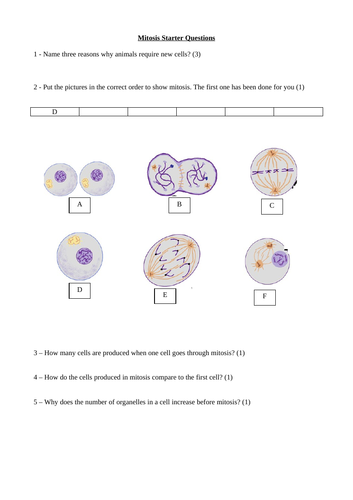 Mitosis Progress Sheet