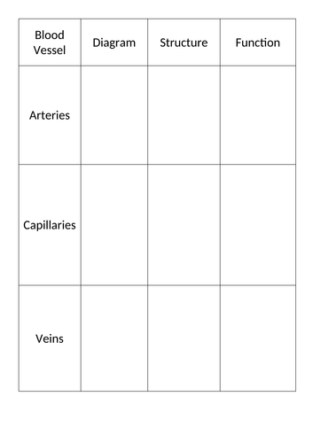 Blood Vessels - Structure and function (Differentiated)