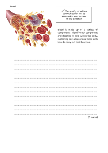 Long Answer Question - Components of Blood with markscheme