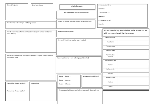 A Level Carbohydrates Revision Crib Sheet Differentiated