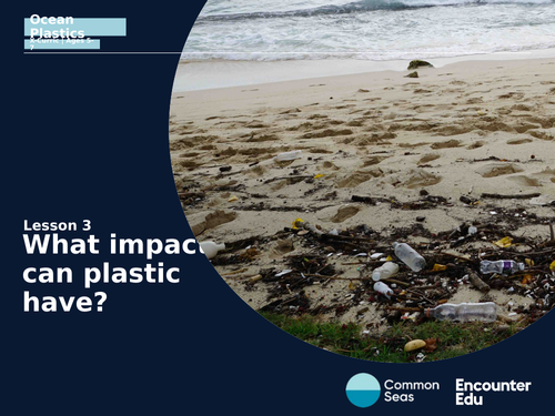 Plastics: what harm can they cause?