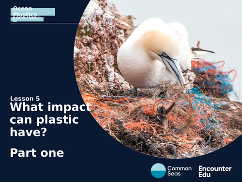 Plastics: what harm can they cause? Part one