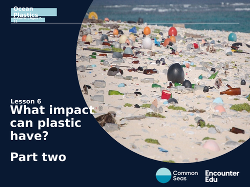 Plastics: what harm can they cause? Part two