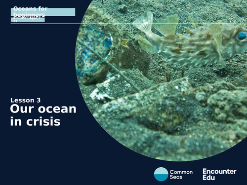 Our ocean in crisis KS2