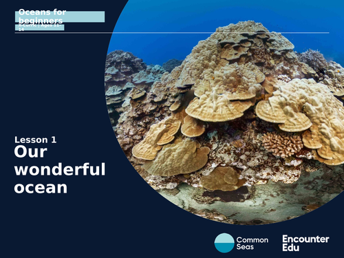 Our wonderful ocean KS3